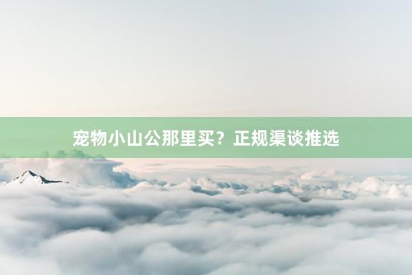 宠物小山公那里买？正规渠谈推选
