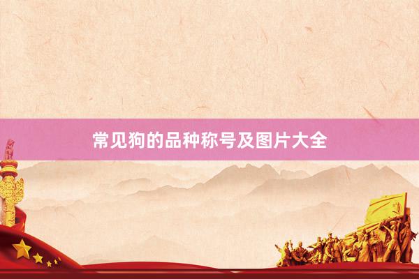 常见狗的品种称号及图片大全